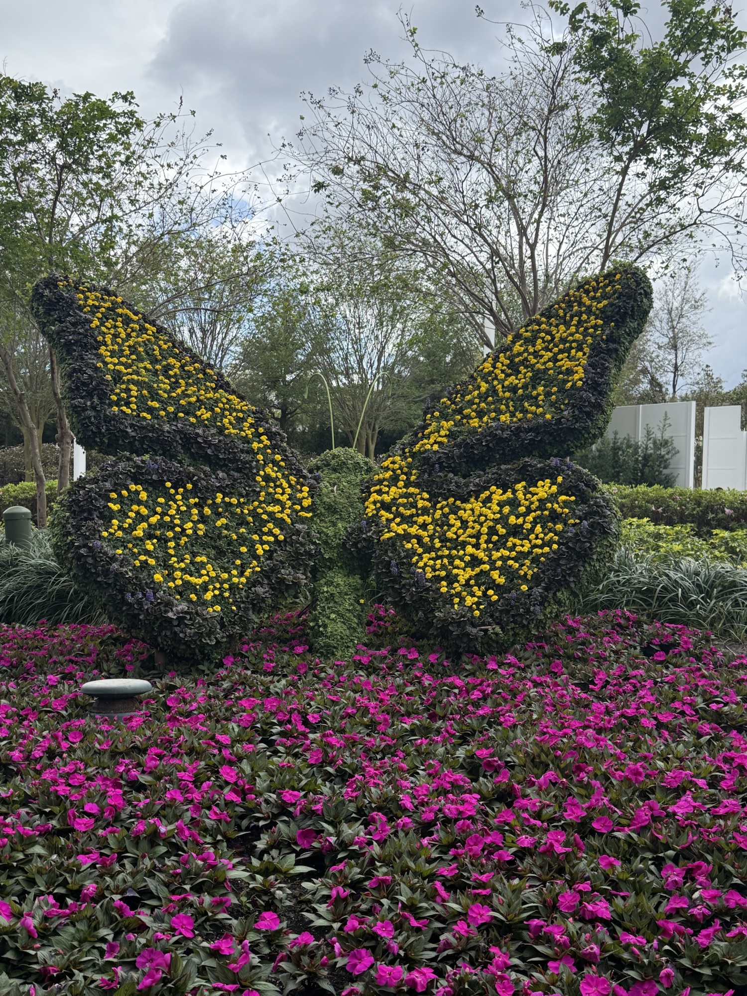 The Ones Who Go Back With Water